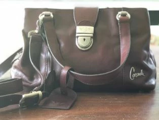 Consuela Accessories Chocolate Leather Handbag