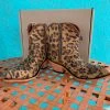Liberty Black Boots Liberty Black Fiona Cheetah Bootie