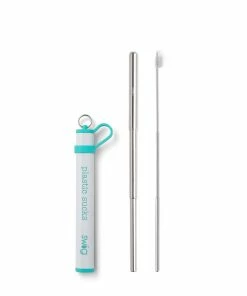 Swig Life Decor Telescopic Stainless Steel Straw Set -5 Colors